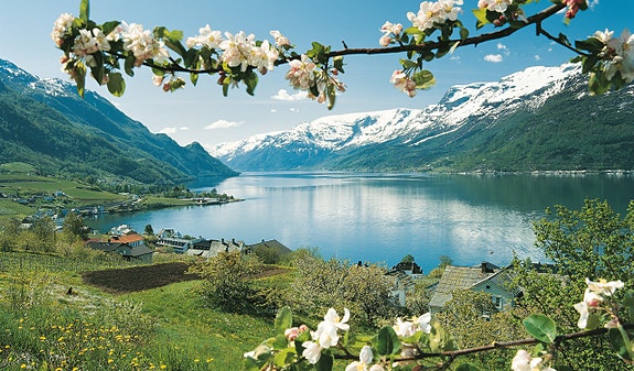 Bilde 1 av 7 i jobbannonse-galleriet