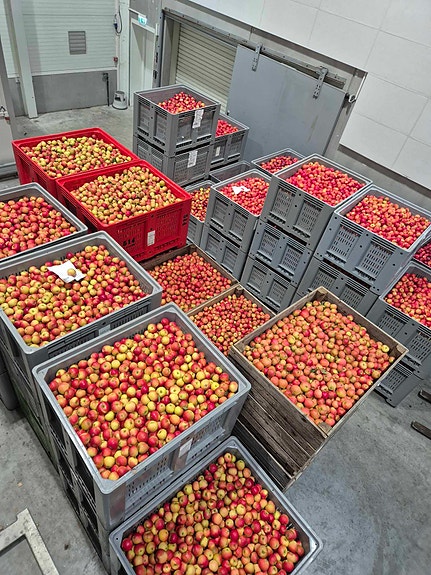 Bilde 7 av 7 i jobbannonse-galleriet