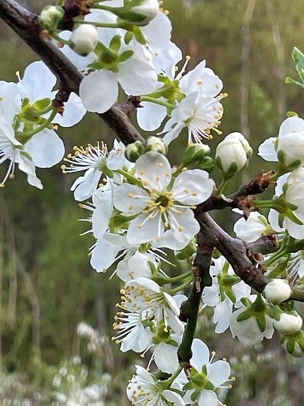 Bilde 2 av 7 i jobbannonse-galleriet