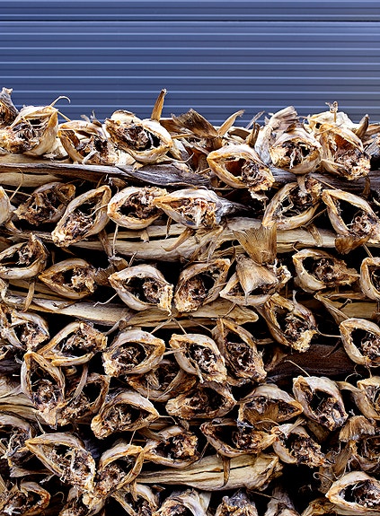 Bilde 4 av 4 i jobbannonse-galleriet