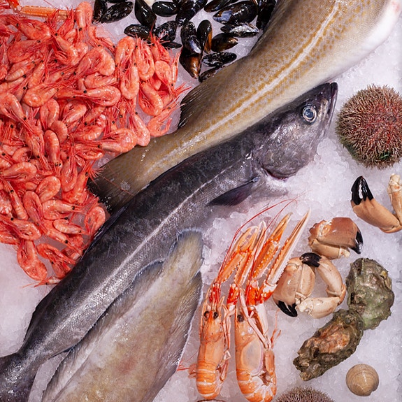 Bilde 2 av 4 i jobbannonse-galleriet