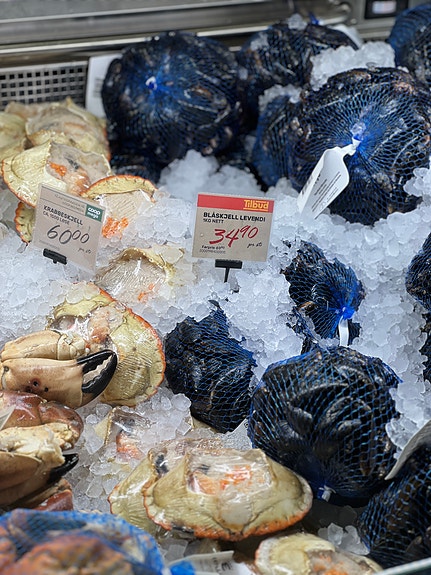 Bilde 3 av 4 i jobbannonse-galleriet