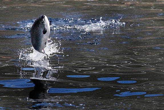 Bilde 3 av 3 i jobbannonse-galleriet