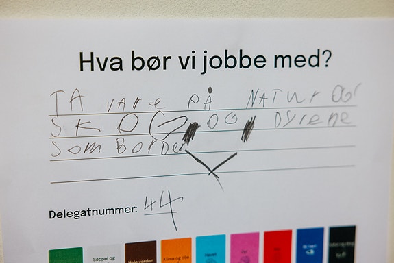 Hva skal vi jobbe med?