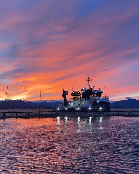 Bilde 1 av 3 i jobbannonse-galleriet