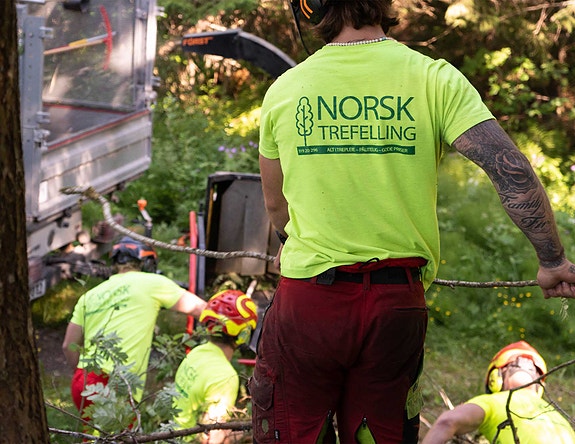 Bilde 3 av 6 i jobbannonse-galleriet