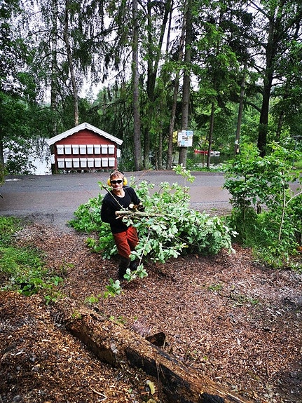 Bilde 2 av 6 i jobbannonse-galleriet