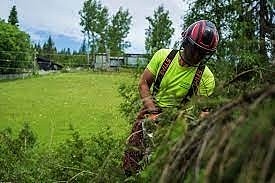 Bilde 4 av 6 i jobbannonse-galleriet