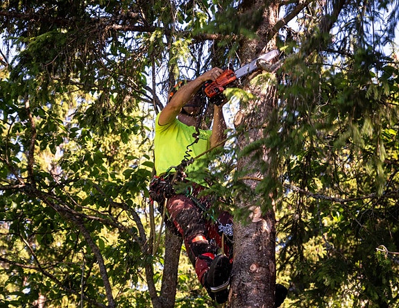 Bilde 1 av 6 i jobbannonse-galleriet