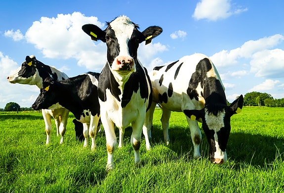 Bilde 3 av 3 i jobbannonse-galleriet