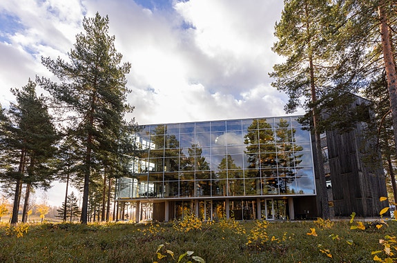 Bilde 1 av 7 i jobbannonse-galleriet