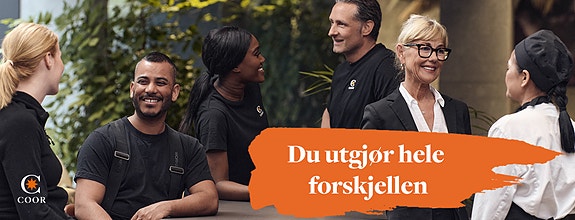 Bilde 3 av 3 i jobbannonse-galleriet