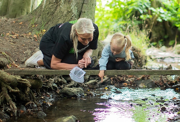 Bilde 1 av 2 i jobbannonse-galleriet