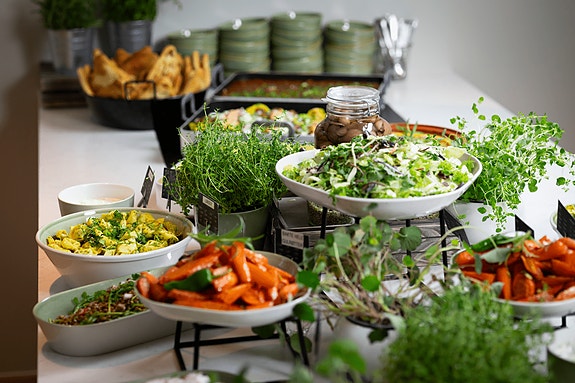 Bilde 1 av 1 i jobbannonse-galleriet