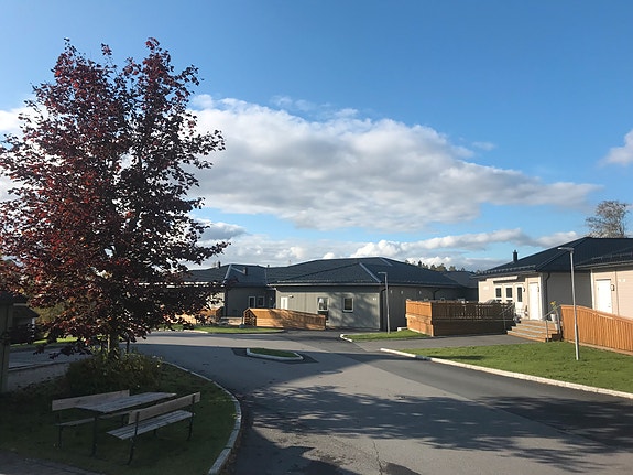 Bilde 1 av 5 i jobbannonse-galleriet