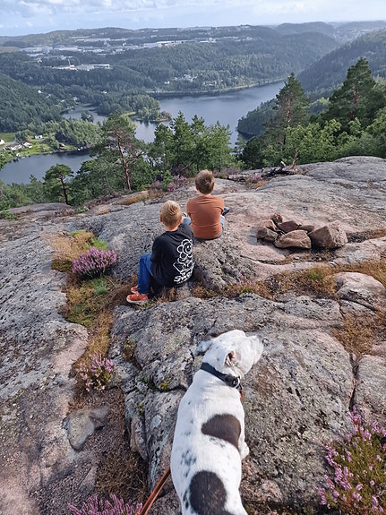 Bilde 1 av 1 i jobbannonse-galleriet