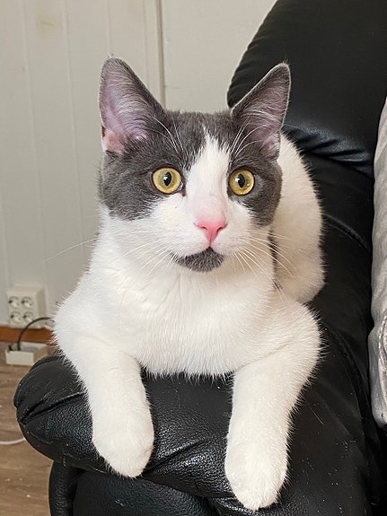 Product image 6 of 6