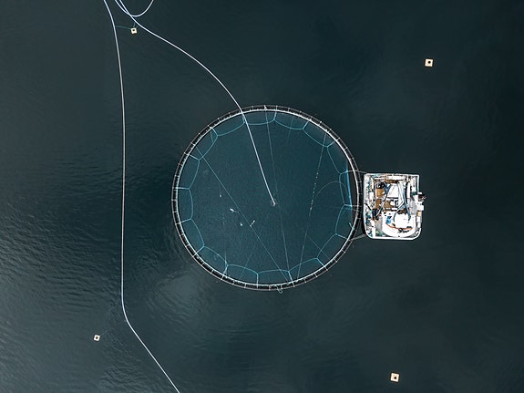 Bilde 5 av 6 i jobbannonse-galleriet