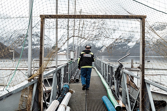 Bilde 6 av 6 i jobbannonse-galleriet