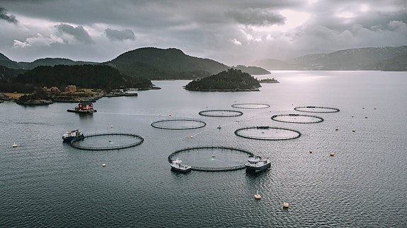 Bilde 2 av 6 i jobbannonse-galleriet