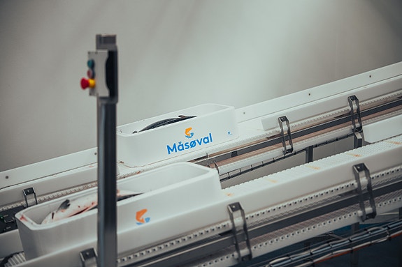 Bilde 3 av 6 i jobbannonse-galleriet