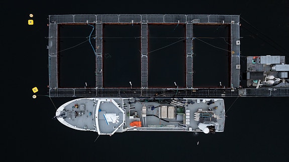 Bilde 4 av 6 i jobbannonse-galleriet