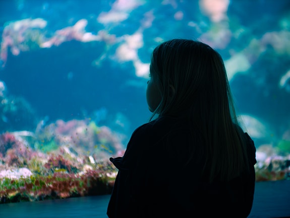 Besøkende på Akvariet i Bergen