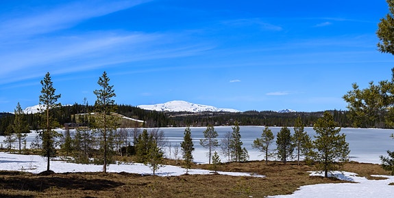 Bilde 2 av 5 i jobbannonse-galleriet