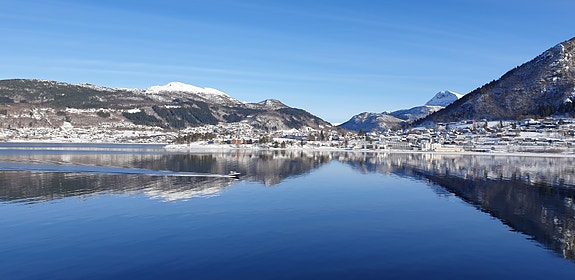 Bilde 2 av 3 i jobbannonse-galleriet