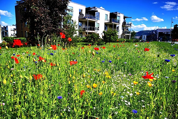 Bilde 3 av 4 i jobbannonse-galleriet