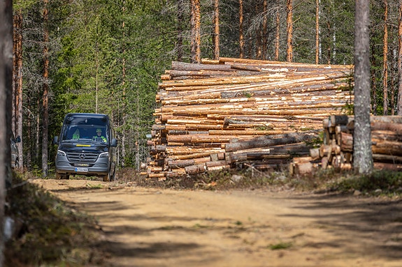 Bilde 4 av 5 i jobbannonse-galleriet