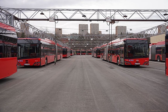 Bilde 3 av 5 i jobbannonse-galleriet