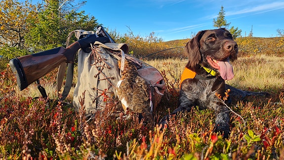 Rypejakt
Foto Stian Stende