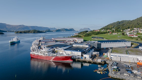 Bilde 1 av 8 i jobbannonse-galleriet