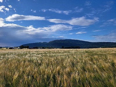Bilde 1 av 1 i jobbannonse-galleriet