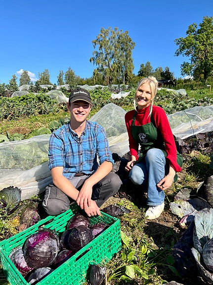 Bilde 1 av 1 i jobbannonse-galleriet