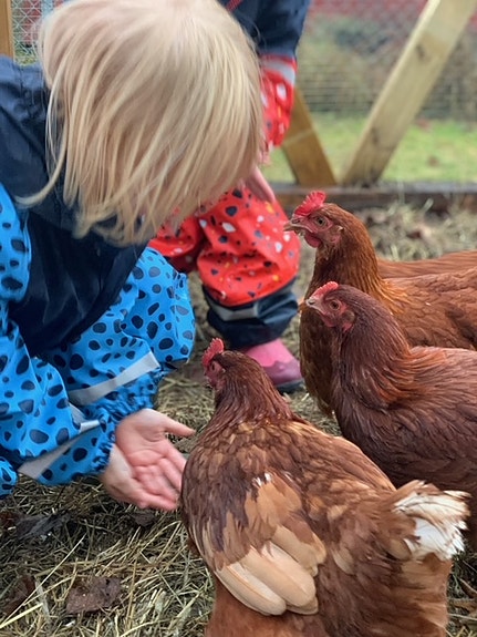 Bilde 4 av 4 i jobbannonse-galleriet