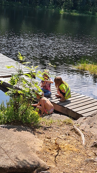 Bilde 3 av 4 i jobbannonse-galleriet