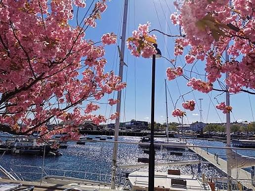 Brygge avdelingen vår