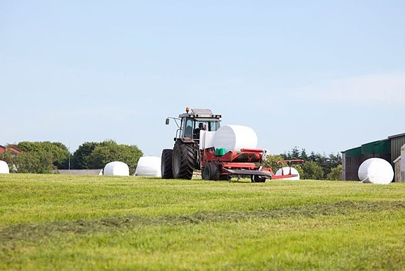 Bilde 3 av 5 i jobbannonse-galleriet