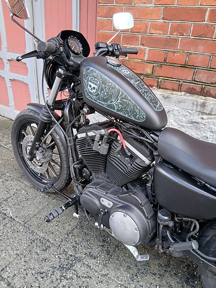 Harley-Davidson XL 883N Iron 9 of 9