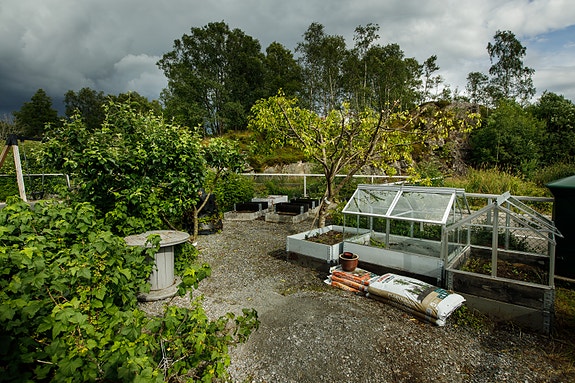 Bilde 3 av 6 i jobbannonse-galleriet