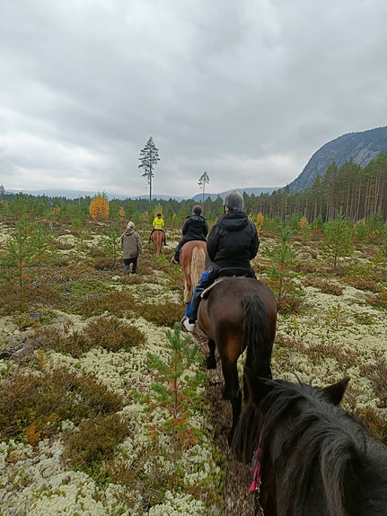 Bilde 4 av 5 i jobbannonse-galleriet