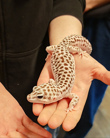 Bilde 3 av 5 i jobbannonse-galleriet