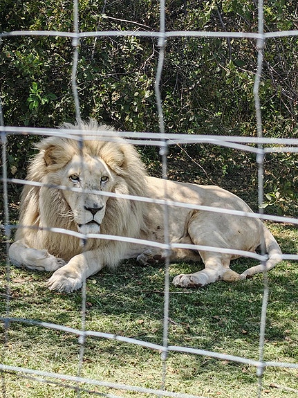 Bilde 1 av 5 i jobbannonse-galleriet