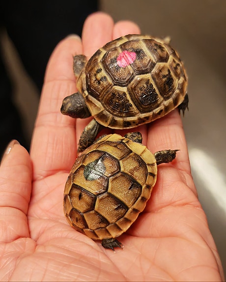 Bilde 5 av 5 i jobbannonse-galleriet