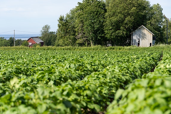 Bilde 1 av 1 i jobbannonse-galleriet