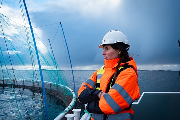 Bilde 1 av 1 i jobbannonse-galleriet