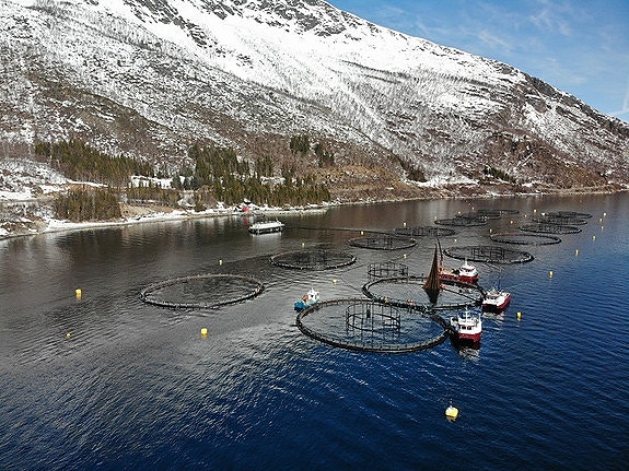 Bilde 6 av 8 i jobbannonse-galleriet