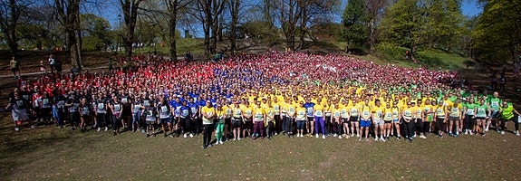 Bilde 5 av 5 i jobbannonse-galleriet